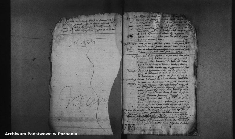 Obraz 16 z jednostki "Decreta officii [protocollon]"