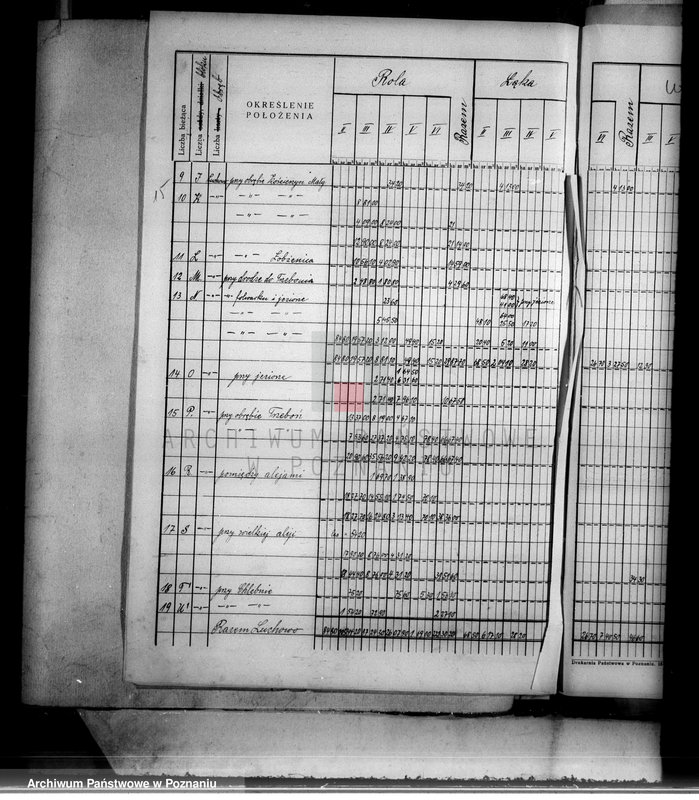 Obraz 19 z jednostki "Oszacowanie wykupionych gruntów majątku Łobżenice powiatu wyrzyskiego"