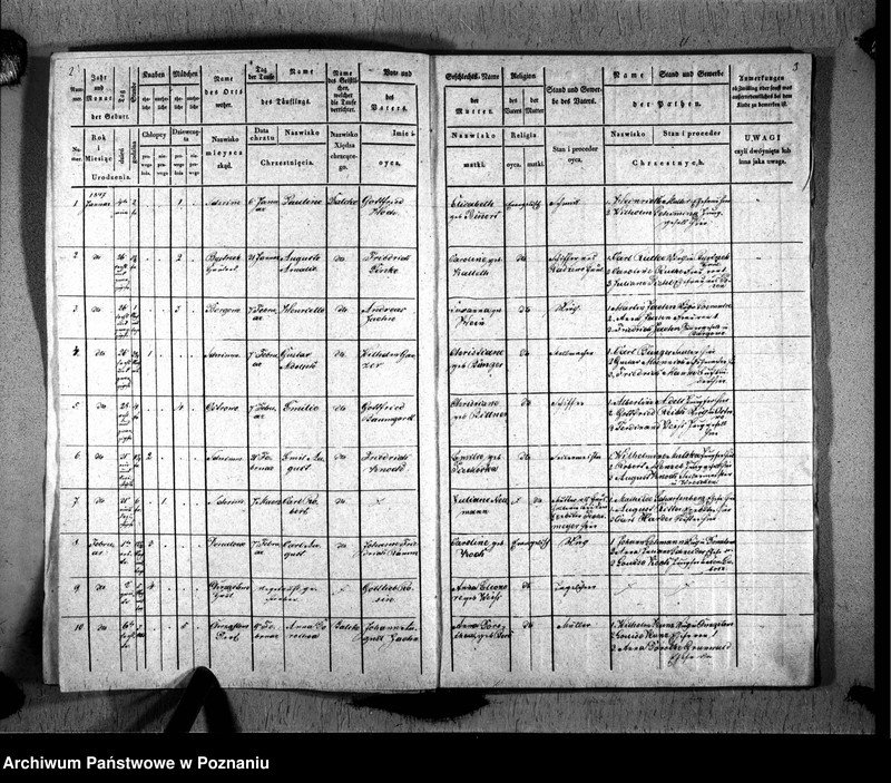 image.from.unit "Duplikat der Gebornen, Getrauten, Verstorbenen"