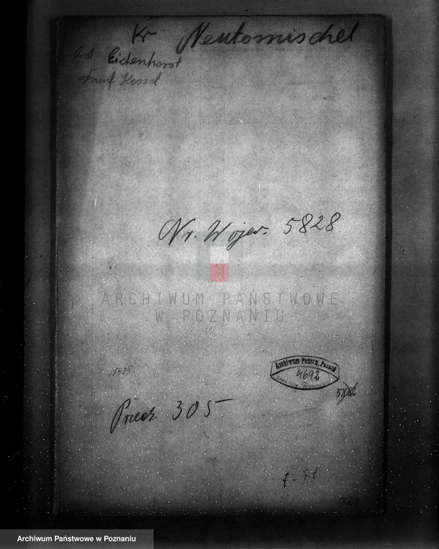 Obraz 4 z jednostki "Tartak parowy w Porażynie, pow. nowotomyski nr woj. kotła 5828"