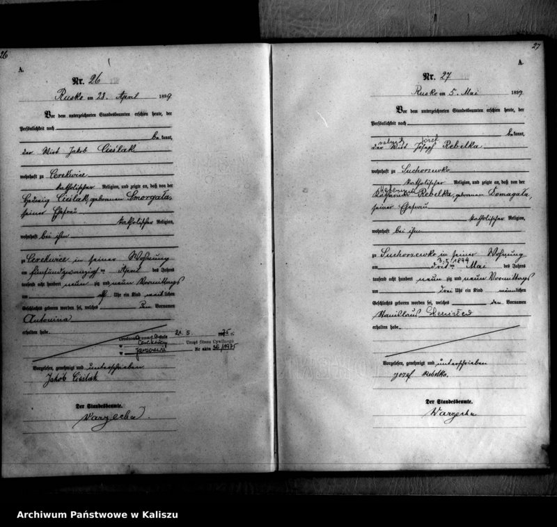 image.from.unit.number "[Księga urodzeń]"