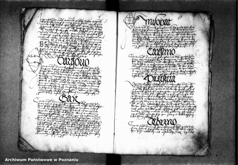 Obraz 11 z jednostki "Inscriptiones, relationes, decreta [inducta]"