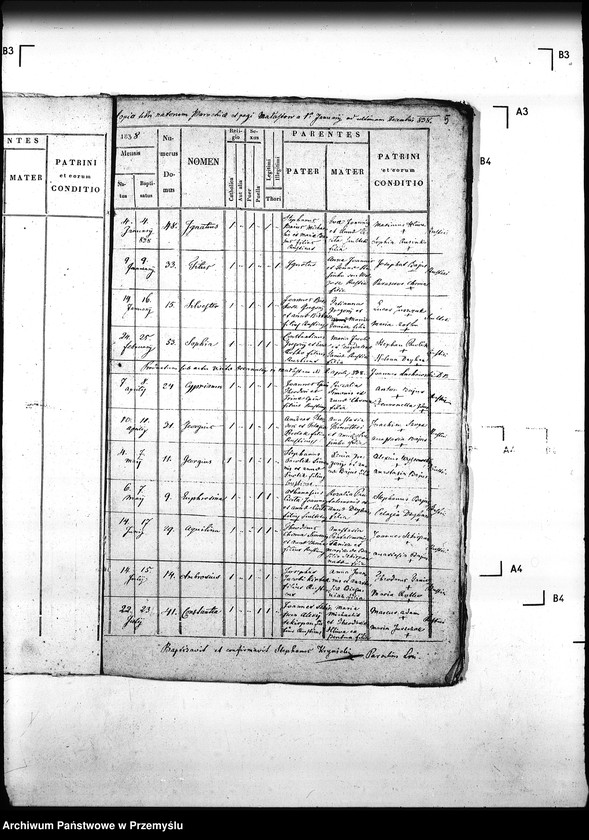 Obraz 9 z jednostki "[Kopie ksiąg metrykalnych parafii Małastów z filiami Ropica Ruska, Pętna (dekanat Gorlice)]"