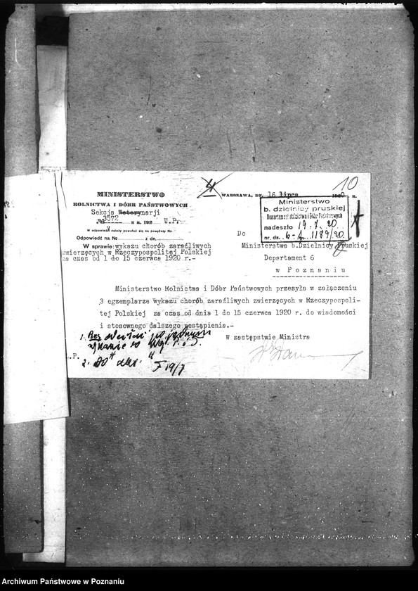 Obraz 14 z jednostki "Wykaz chorób zwierzęcych zaraźliwych w Rzeczypospolitej Polskiej"