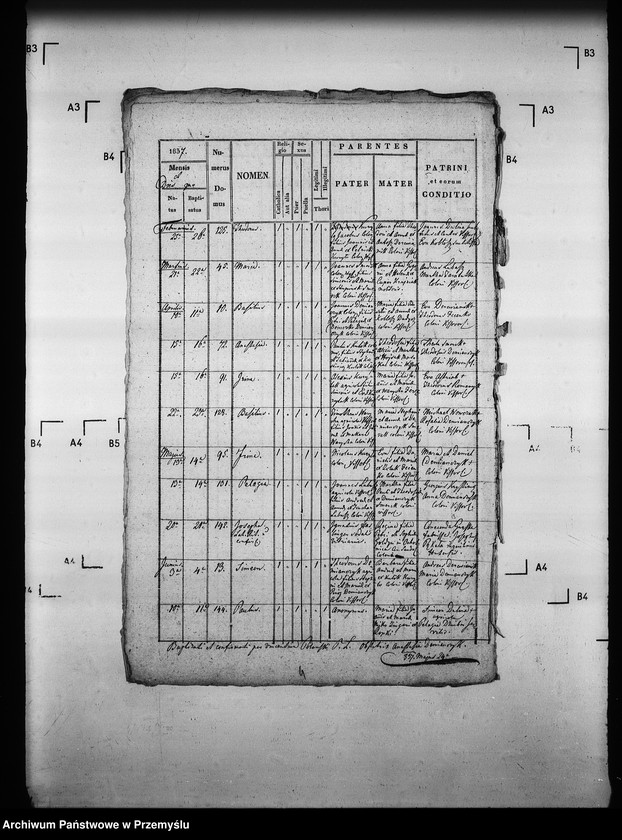 Obraz 7 z jednostki "[Kopie ksiąg metrykalnych parafii Wysowa z filią Blechnarka (dekanat Gorlice)]"