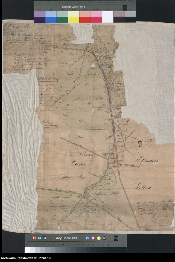 image.from.unit "Grenz - Plan zur Klage des Dominii Ciswice wieder das Dominium Prusy, Zakrzewo nach dem von beiden Theilen gemachten Angaben speciall vermessen"