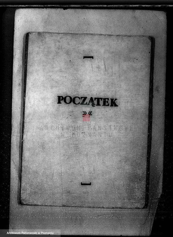 Obraz 3 z jednostki "Nadzór nad gospodarką w lasach majętności Bucz powiat kościański"