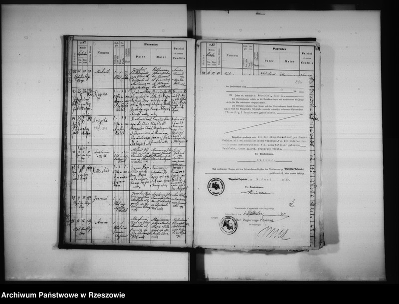 image.from.unit.number "Księga urodzeń Medynia Głogowska i Medynia Łańcucka"