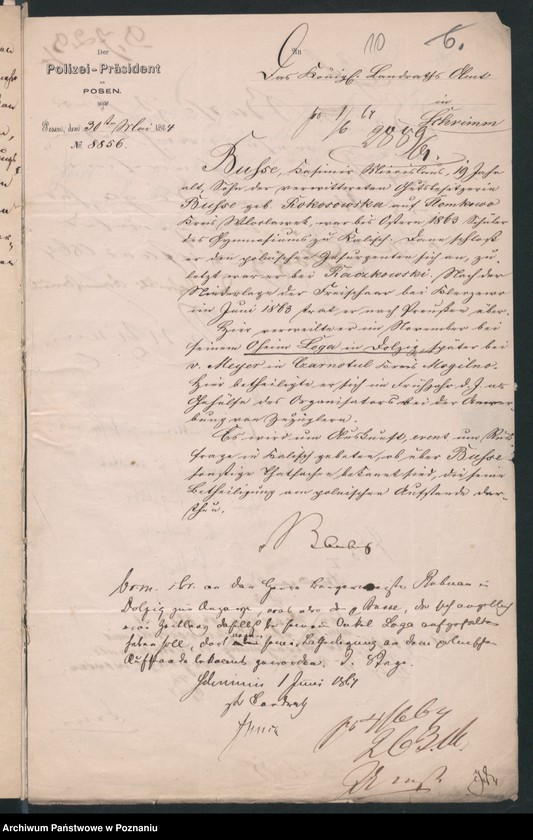 Obraz 13 z jednostki "A. betr. Miecislaus Casimir von Busse"