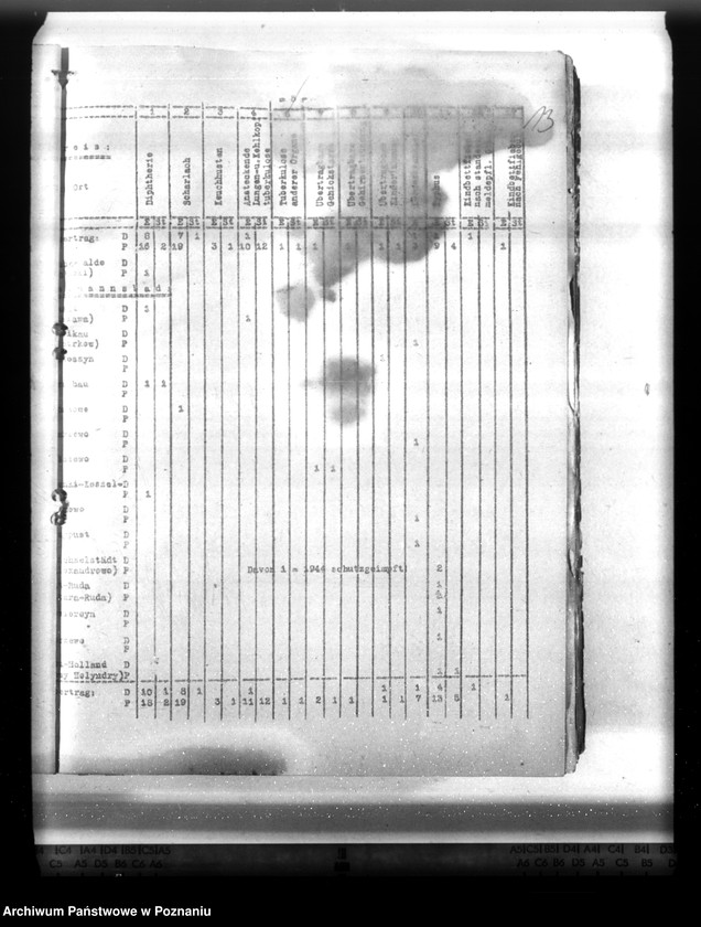 Obraz 19 z jednostki "Statistik der Krankheiten im Wartheland"