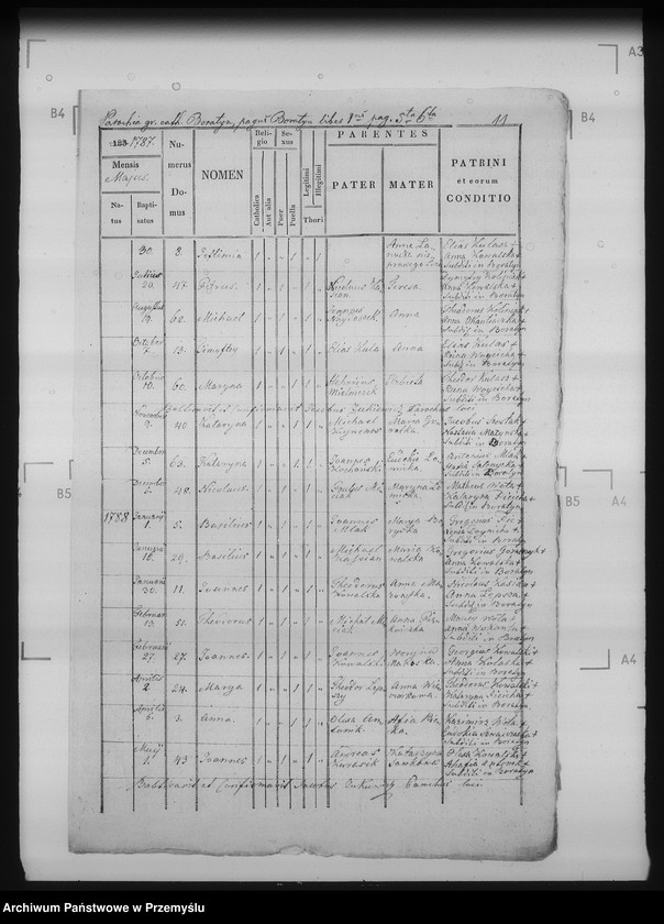 Obraz 17 z jednostki "[Kopie ksiąg metrykalnych parafii Boratyn wieś Boratyn (dekanat Bełz)]"