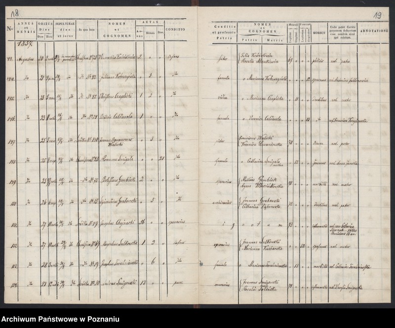 Obraz 12 z jednostki "Księga zgonów"