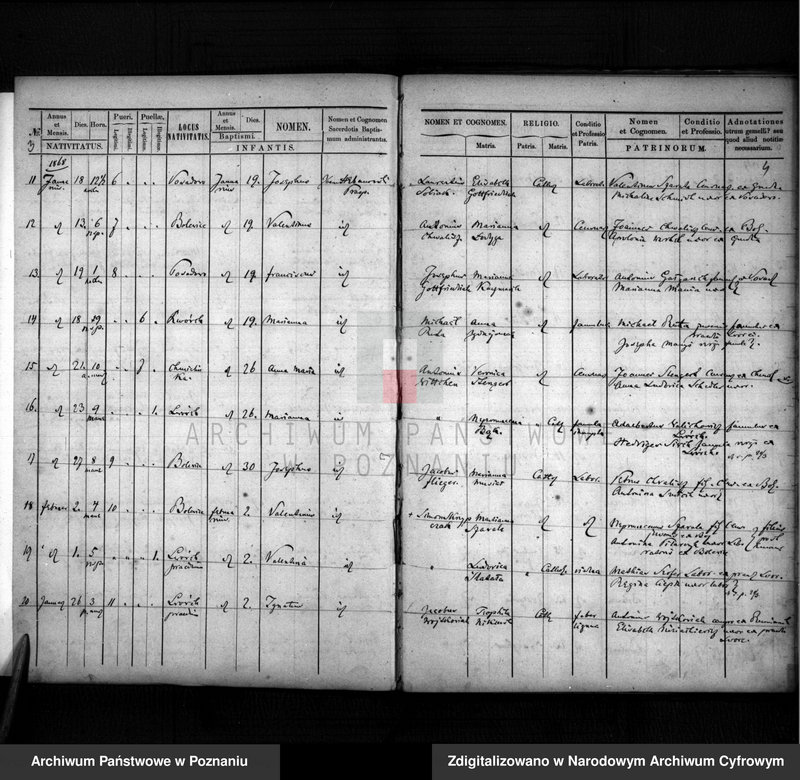 image.from.unit.number "Duplikat urodzonych, zaślubionych i zmarłych"