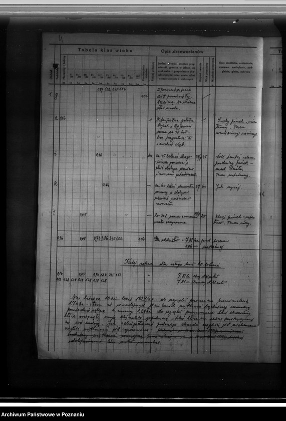 Obraz 8 z jednostki "Majętność leśna Gustawa Hahnscha w gminie Złotkowie powiat poznański program urządzania gospodarstwa leśnego na lata 1929-1939"