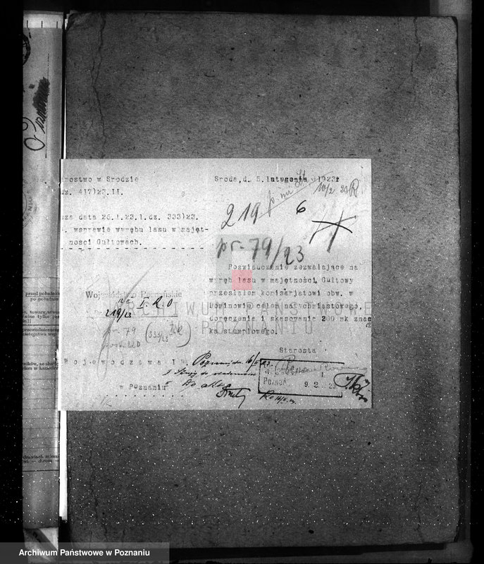 Obraz 10 z jednostki "Nadzór nad gospodarką w lasach majętności Gułtowy powiat średzki"