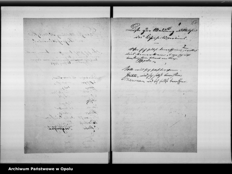 Obraz 17 z jednostki "Acta betreffend die Bildung des Sicherheits - Vereins in hiesiger Stadt Vol I de anno 1848"