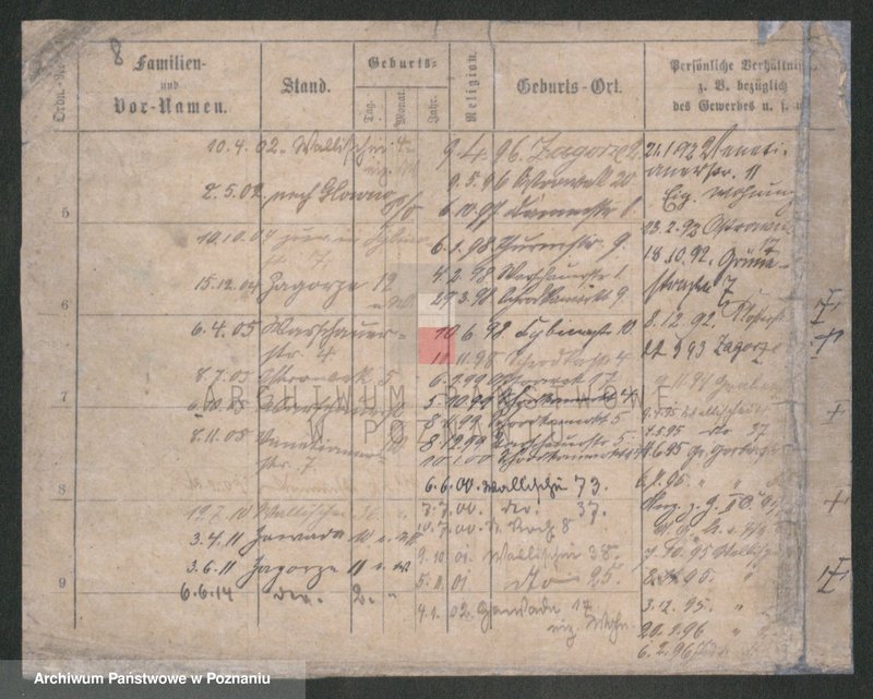 Obraz 8 z jednostki "Kujawiak - Kulas"