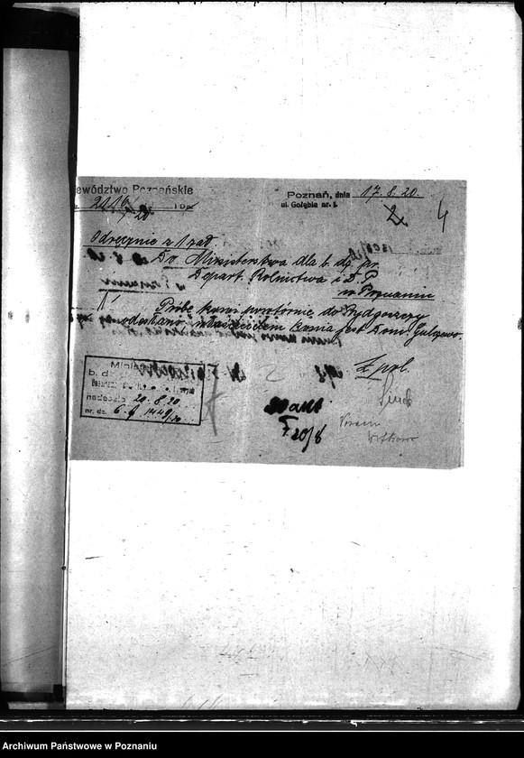 Obraz 8 z jednostki "Nosacizna - Witkowo"