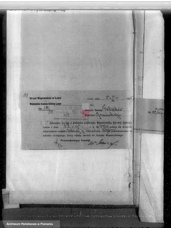 Obraz 15 z jednostki "Gmina Rzgów powiat koniński /nadzór nad gospodarką leśną/"