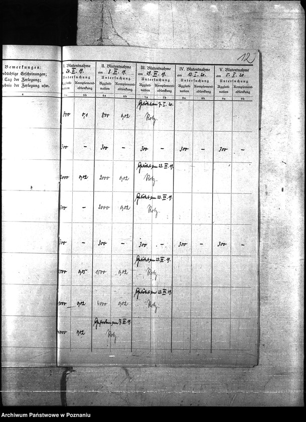Obraz 16 z jednostki "Nosacizna - Międzychód"