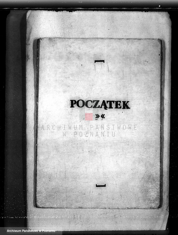 Obraz 3 z jednostki "Majętność Biskupiec powiat koniński /sprawa ustalenia granicy lasu/"