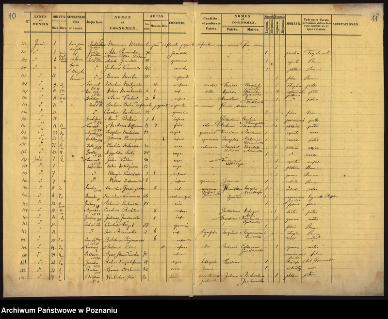 Obraz 8 z jednostki "Księga zgonów"