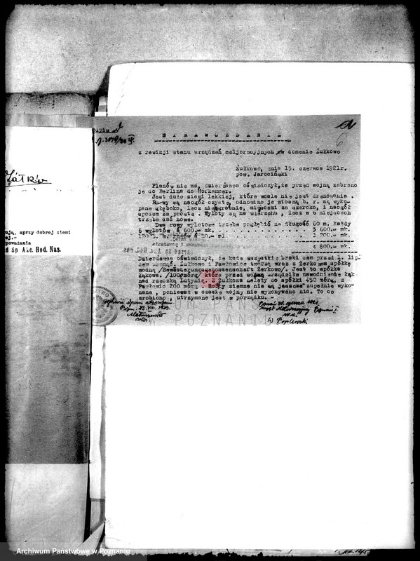 Obraz 10 z jednostki "Melioracje majątku państwowego Żółków"