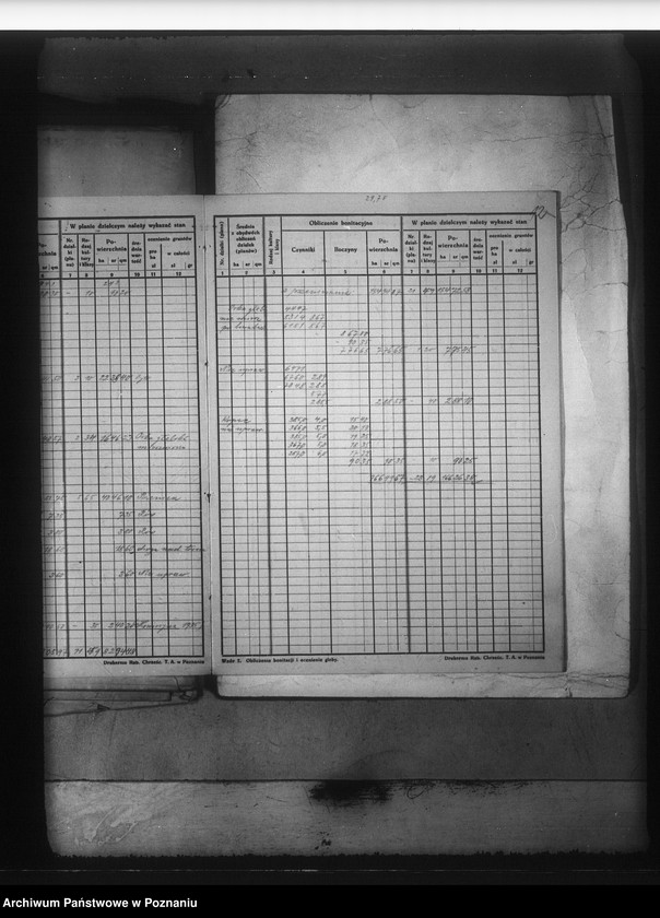 Obraz 19 z jednostki "Rejestr upraw i zasiewów dokonanych w jesieni 1935 r. w majątku Kotomierz powiatu bydgoskiego"