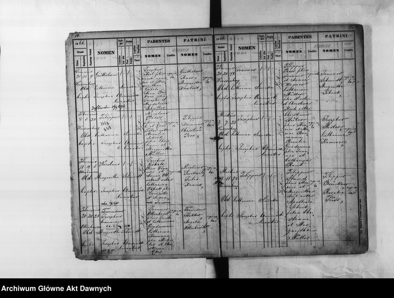 image.from.unit.number "Parafia: Białogóra (Weissenberg). Dekanat: Gródek Jagielloński. Księga metrykalna urodzeń dla całej parafii."