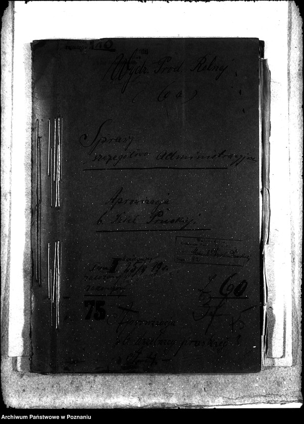 Obraz 5 z jednostki "Sprawy szczegółowo-administracyjne Aprowizacja b. Dzielnicy Pruskiej"