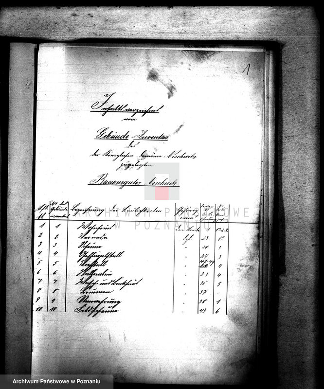 Obraz 5 z jednostki "Domena Niszczewice gospodarstwo we wsi /inwentarz/"