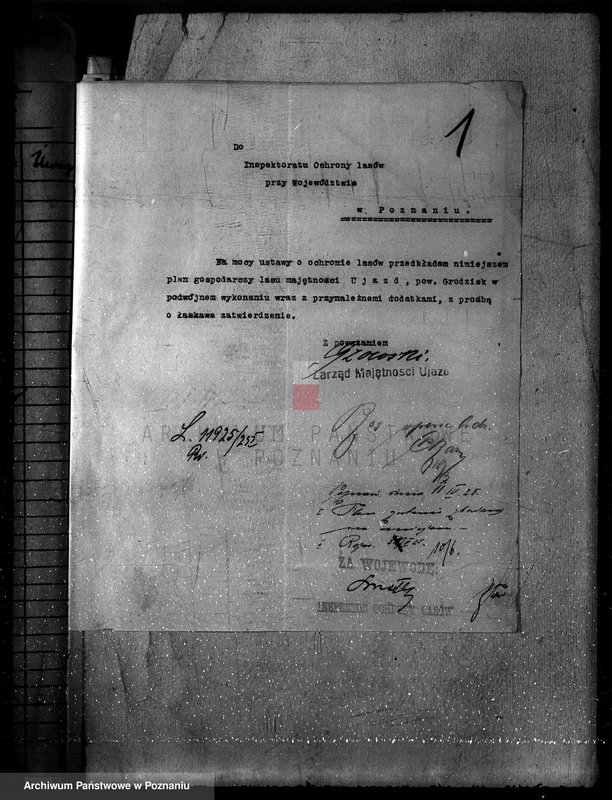 Obraz 5 z jednostki "Nadzór nad gospodarką w lasach majątku Ujazd powiat kościański"