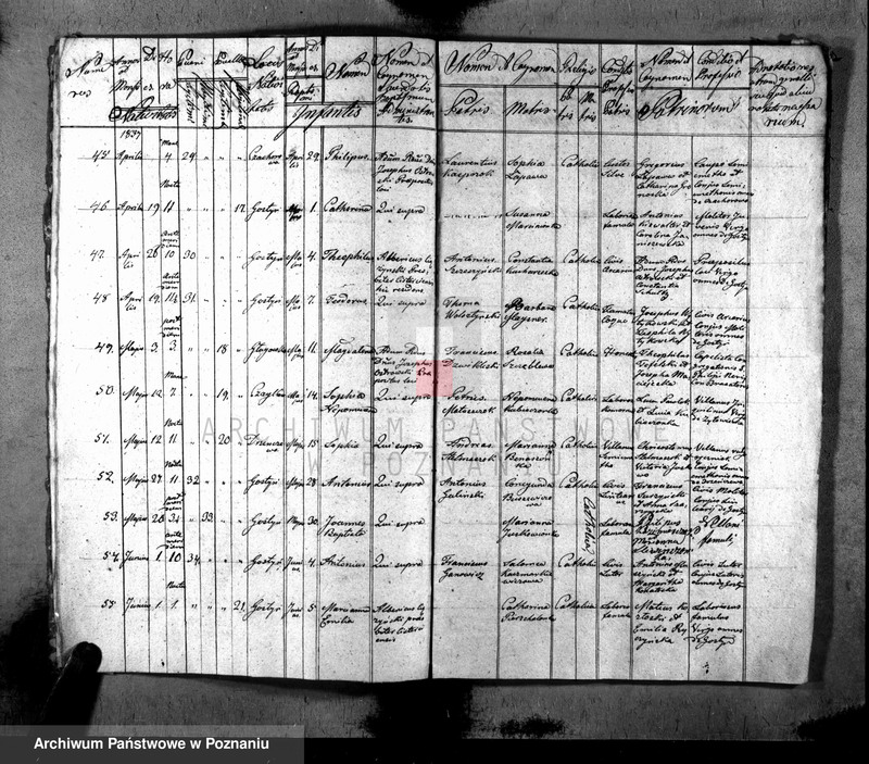 image.from.unit.number "Liber baptisatorum, copulatorum, mortuorum"