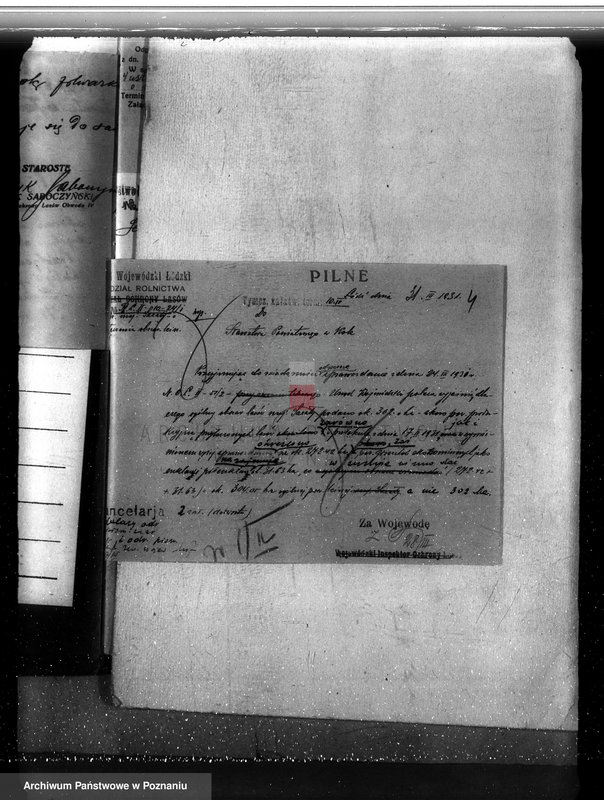 Obraz 8 z jednostki "Sprawa lasów majątku Sacały powiat kolski gmina Koźmin"