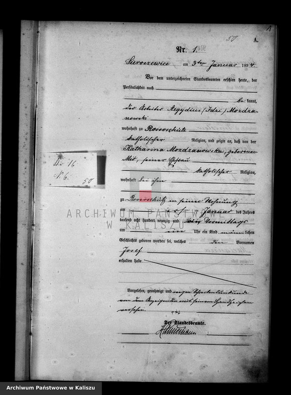 Obraz z jednostki "[Księga urodzeń]"