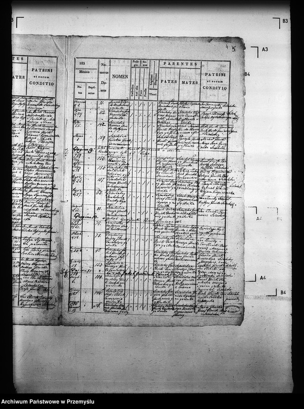 Obraz 9 z jednostki "[Kopie ksiąg metrykalnych parafii Ilnik (dekanat Turka)]"