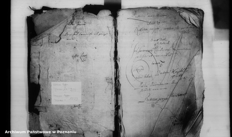 Obraz 3 z jednostki "Inscriptiones [inducta]"