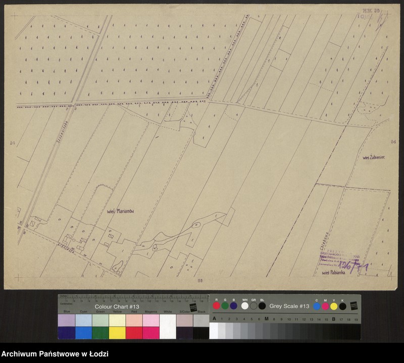 Obraz 1 z jednostki "Plan miasta Łodzi Sekcja NW 95"
