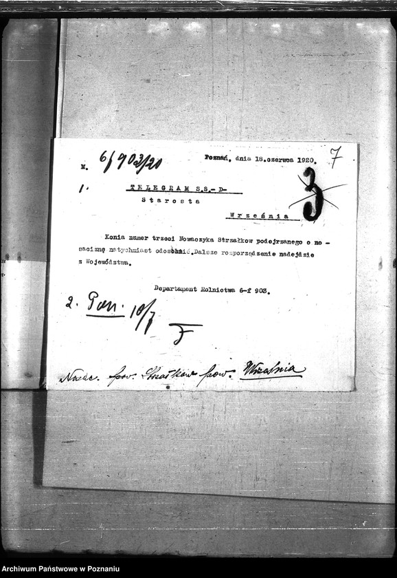 Obraz 11 z jednostki "Nosacizna - Września"