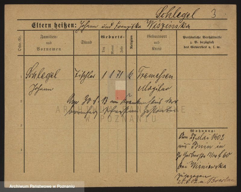 Obraz 9 z jednostki "Szlefer - Szliżewski"