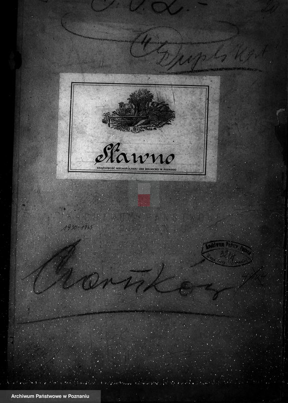 Obraz 4 z jednostki "Nadzór nad gospodarką leśną majątku Sławno powiat czarnkowskim"