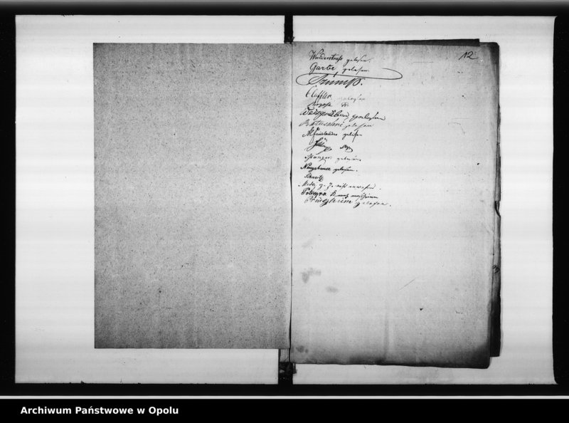 Obraz 13 z jednostki "Acta des Magistrats zu Oppeln betreffend Regierungs - Antritt Geburtstags Feier u[nd] Landestrauer S[einer] Majestät der Könige"