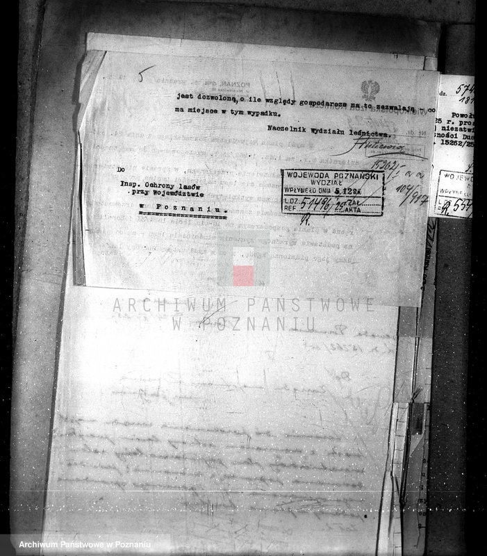 Obraz 9 z jednostki "Nadzór nad gospodarką w lasach majątku Dusina w powiecie gostyńskim"