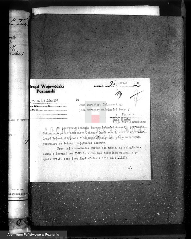 Obraz 18 z jednostki "Nadzór nad gospodarką w lasach majętności Koszuty powiat średzki"