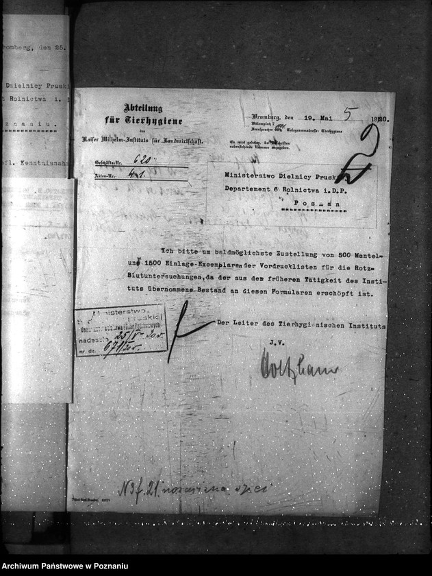 Obraz 8 z jednostki "Sprawy szczegółowo-Nosacizna"