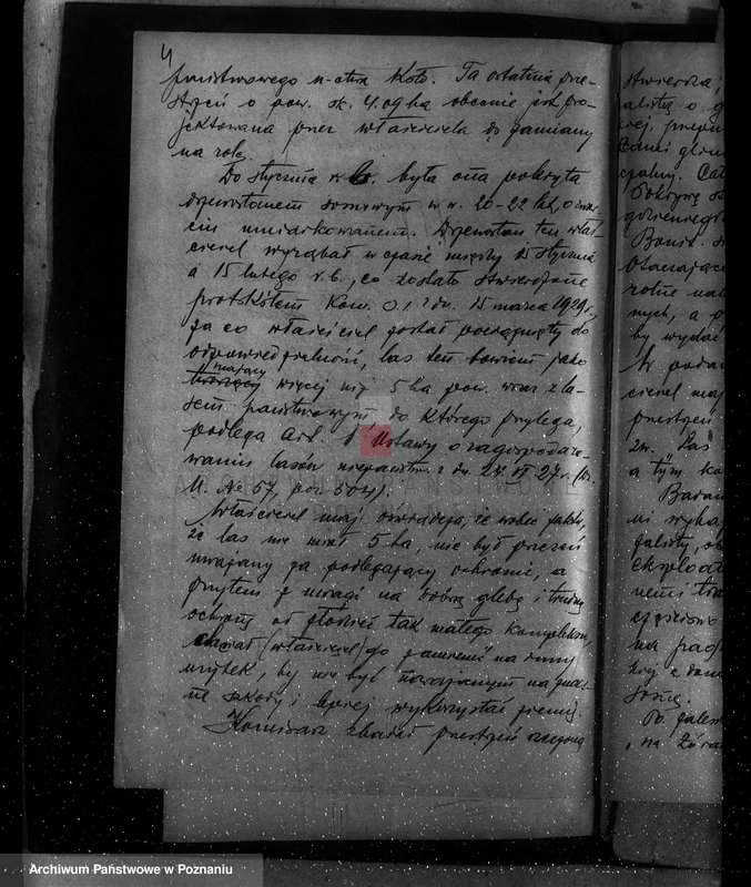 Obraz 8 z jednostki "Sprawa zmiany rodzaju użytkowania 25,47 ha gruntów leśnych w majątku Ozorzyn dla celów parcelacji powiat kolski"