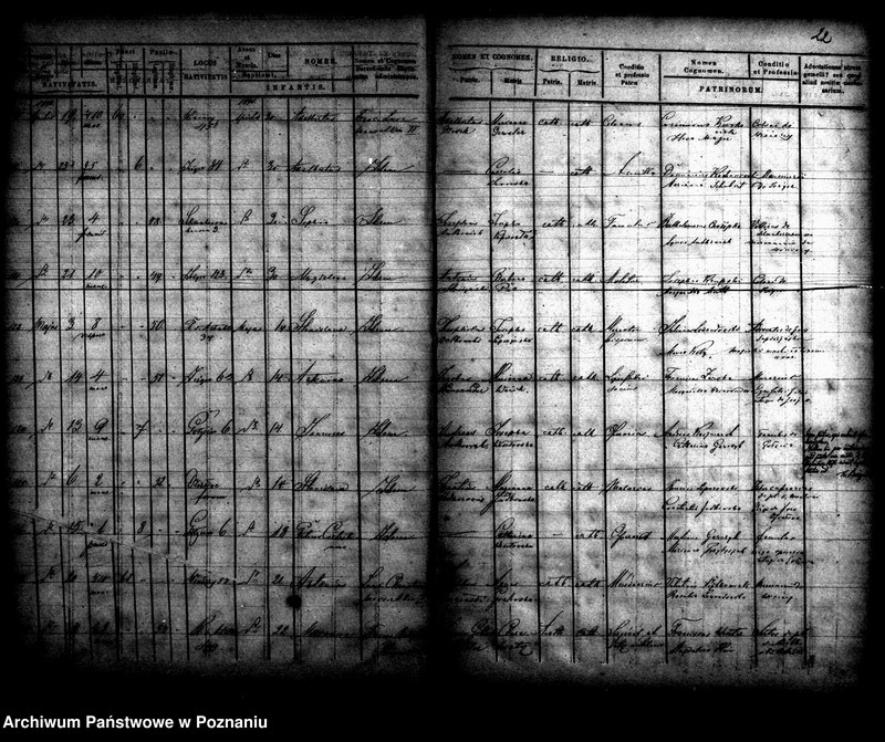 Obraz 13 z jednostki "Księga urodzin"