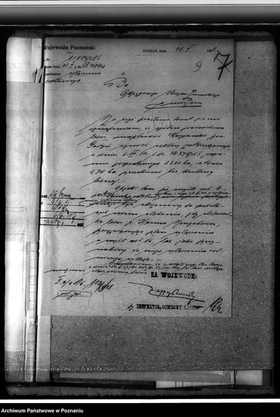 Obraz 13 z jednostki "Majętność leśna Krzyżanki w powiecie gostyńskim"