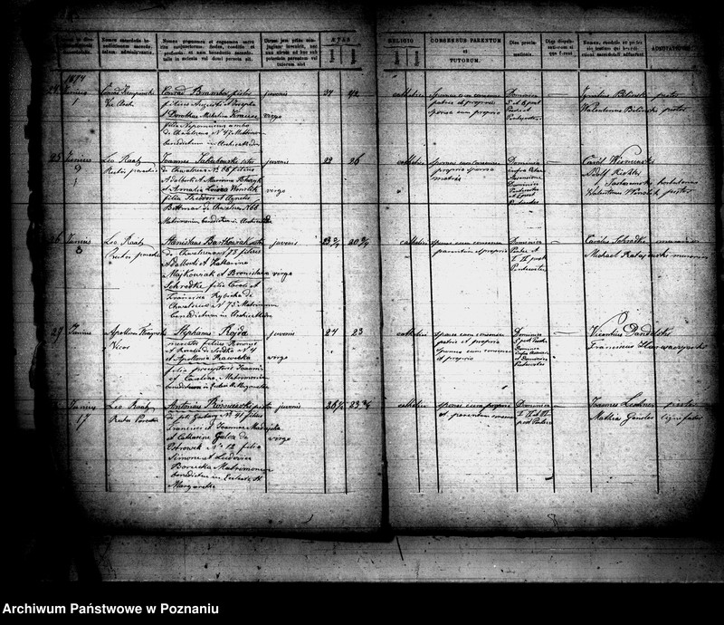 Obraz 8 z jednostki "Księga małżeństw"