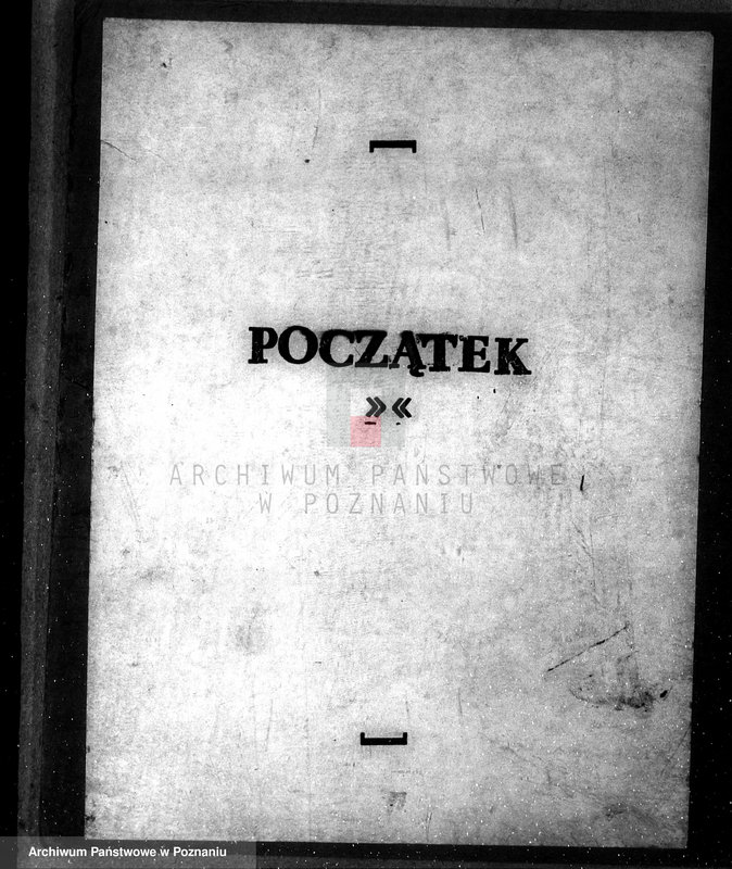 Obraz 3 z jednostki "Majętność leśna Sarbinowo w powiecie gostyńskim"